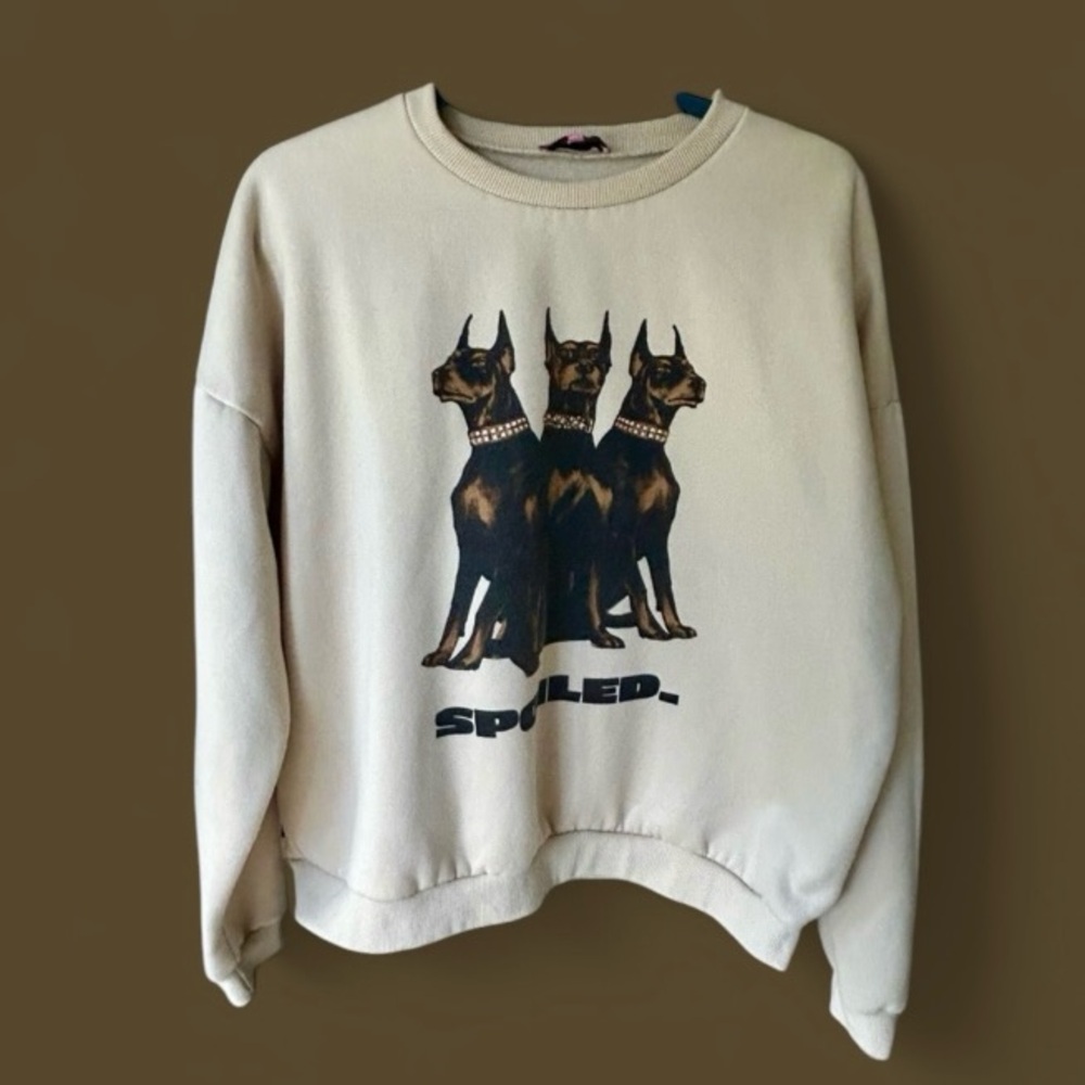 Edikted fleece graphic sweatshirt in size M